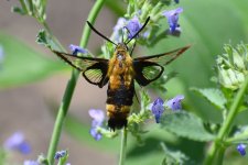 560_0115R_cr.jpg