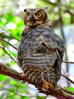 DSC_0006_001.JPG