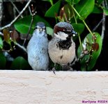 DSC_0131_001.JPG