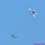 DSC_0243_001.JPG