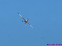 DSC_0245_001.JPG