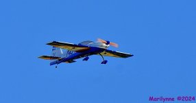 DSC_0246_001.JPG
