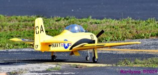 DSC_0280_001.JPG