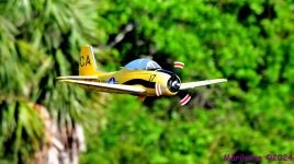 DSC_0305_001.JPG