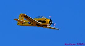 DSC_0331_001.JPG