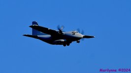 DSC_0347_001.JPG