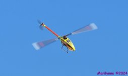 DSC_0536_001.JPG