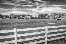 Somers_029-HDR-PPP-viv-TpzAI-dBW-grg-800.jpg