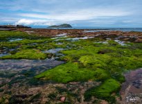 Low Tide.jpg