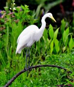 DSC_0838_001.JPG