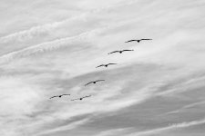 _DSC2946-2.jpg