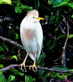 DSC_1031_001.JPG