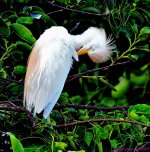 DSC_1034_001.JPG