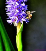 DSC_1220_001.JPG