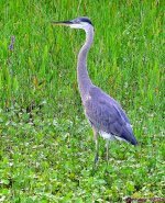 DSC_1279_001.JPG