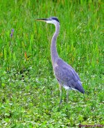 DSC_1275_stitch_001.JPG