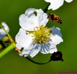 DSC_1850_001.JPG