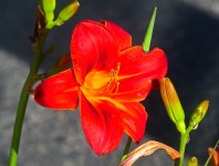 ROY_5394_01.JPG
