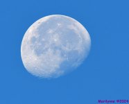 DSC_2336_001.JPG