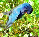 DSC_2638_001.JPG