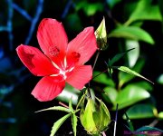 DSC_2666_001.JPG