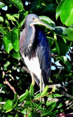 DSC_3177_stitch_001.JPG