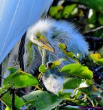 DSC_3415_001.JPG