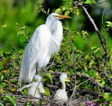 DSC_3683_001.JPG