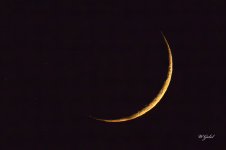 sliver of the moon sm.jpg