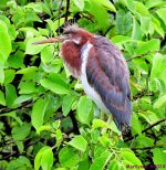 DSC_4351_001.JPG