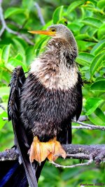 DSC_4384_stitch4_001.JPG