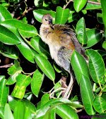 DSC_4712_001.JPG