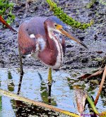 DSC_5016_001.JPG