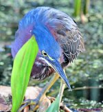 DSC_5061_001.JPG