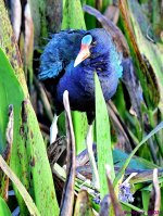 DSC_5074_001.JPG