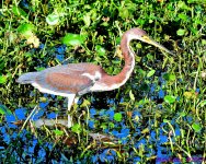 DSC_5107_001.JPG