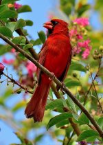 DSC_5293_001.JPG