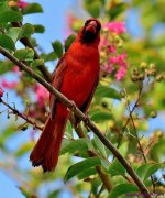 DSC_5298_001.JPG