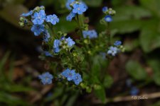 _DSC6203.jpg