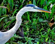 DSC_5313_001.JPG