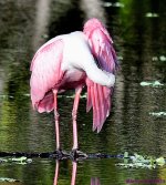 DSC_5418_001.JPG
