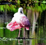 DSC_5427_001.JPG