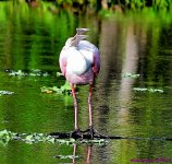 DSC_5442_001.JPG