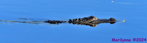 DSC_5760_stitch3_001.JPG