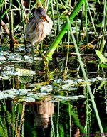 DSC_5798_001.JPG