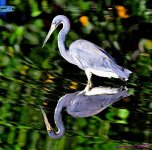 DSC_5841_001.JPG