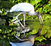 DSC_5859_001.JPG