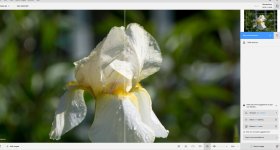RAW file opened.jpg