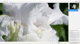 opened as a plugin.jpg