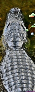 DSC_6004_stitch_001.JPG